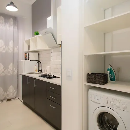 Old Galicia Hrushevskoho Apartment